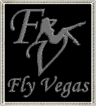 Fly Vegas